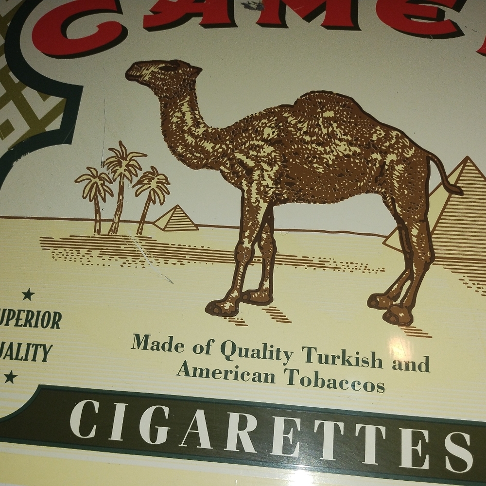 Camel Advertisement